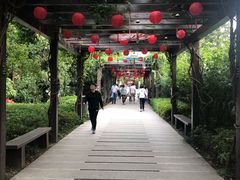 -白马涧龙池景区