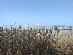 -江心屿景区