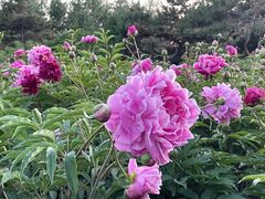 -长春公园(普阳街道)