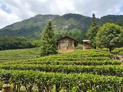 -姑婆山旅游区