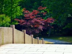 -采石矶景区