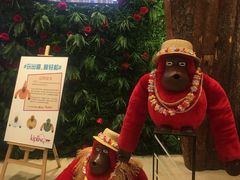 -王府井百货熙地港店