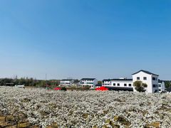 -梁鸿国家湿地公园