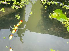 -九里河湿地公园