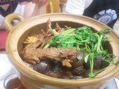 -食爺炭炉鸡煲·烧烤