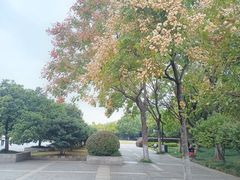 -明故宫遗址公园