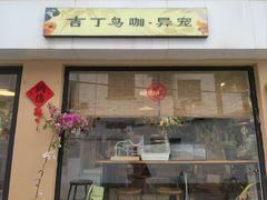 -吉丁鸟咖·异宠·寄养