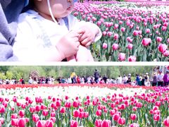 -长春公园(普阳街道)