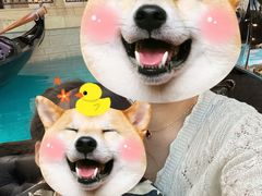 -澳门威尼斯人综合度假区