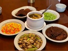-优护优家Ucare月嫂育儿嫂陪伴师(静安店)