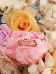 -钻石小鸟钻戒婚戒定制(石路店)