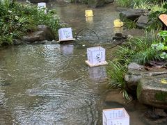-中国茶叶博物馆(双峰馆区)