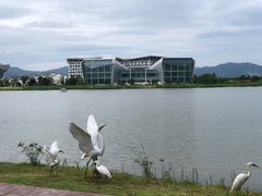 -琅岐红光湖公园