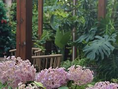 -谷咖啡·鲜花绿植花园餐厅