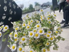 -塘栖枇杷特色园区