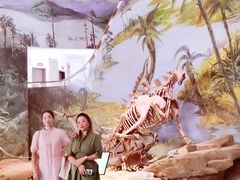 -自贡恐龙博物馆