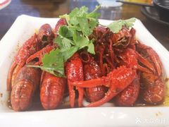 -海岛八号龙虾烧烤田鸡(蓝天路总店)