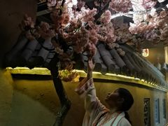 -淀里船宴(裕华东路店)