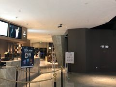 -星河寰宇IMAX影城(星河WORLD·COCO Park店)