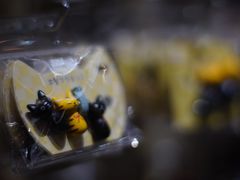 -猫咪博物馆(顶澳仔猫街店)