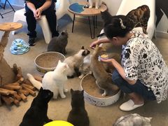 -泰国佛·塔罗·泰牌狐仙古曼