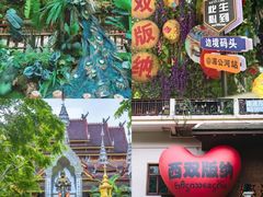 -西双版纳原始森林公园
