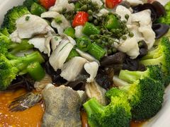 -泉龙渔村·粤式早茶·金牌烧鹅(中山三乡店)