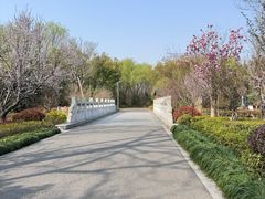 -昆山城市生态森林公园