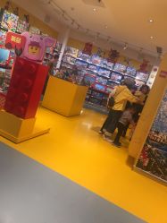 -乐高授权专卖店(南开大悦城店)