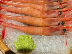 -沼津港日本料理·寿喜烧·烧鸟(新世界大丸百货店)