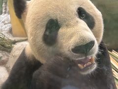 -武汉两江游览·夜游长江(汉口粤汉码头)