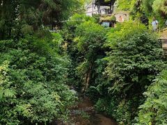 -青城山