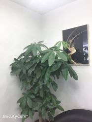 -爱漾皮肤管理中心