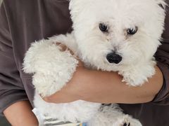 -FAELING PETS美天灵宠物(合生汇店)