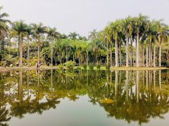 -中国科学院西双版纳热带植物园