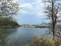 -婺源月亮湾