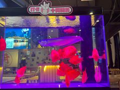 -五丁桥光头香辣蟹(望江橡树林店)