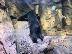 -波塞冬旅游度假区