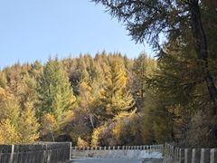 -苏木山森林公园