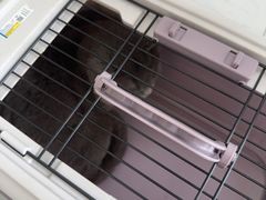 -艾吉宠物医院·疑难杂症转诊中心·猫友好(碧江路院)