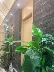 -芳朵美容养生SPA