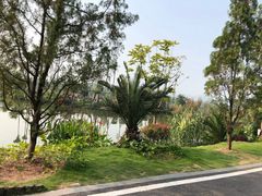 -枫香湖儿童公园