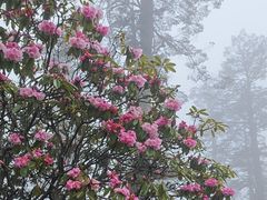 -瓦屋山景区