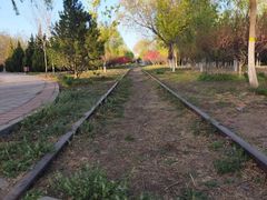 -永定河休闲森林公园