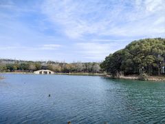 -尚湖风景区