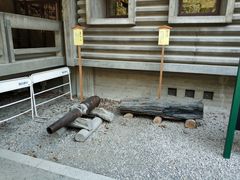 -热田神宫