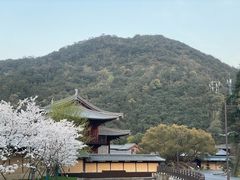 -宁波九龙湖开元度假村