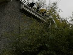 -北京麋鹿生态实验中心