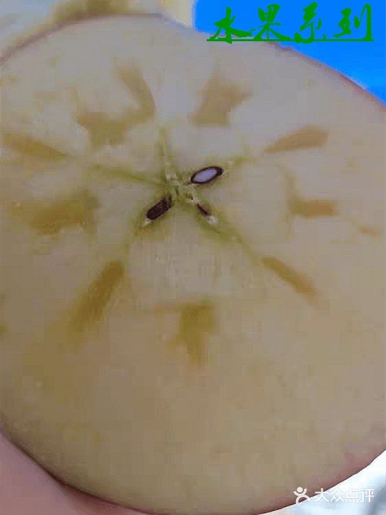 不用烤箱也能自制苹果派啦！！