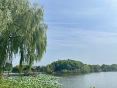 -上海市保健医疗中心